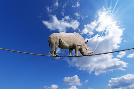 大白犀牛在钢缆上行走蓝天图片