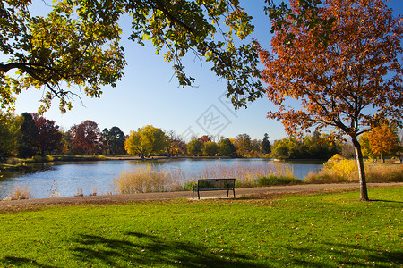 秋天在风景湖旁背景图片