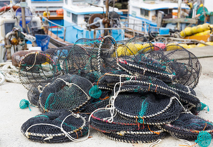 捕捞渔业和海产图片