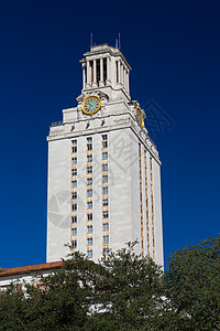 德克萨斯大学校园内的主楼和钟楼图片