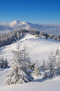 山谷牧羊人村的冬季风景雪地漂流中的树木喀尔巴阡山脉乌克兰欧洲佩背景图片