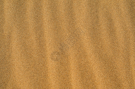 一堆海滩或沙漠的沙子的特写图片