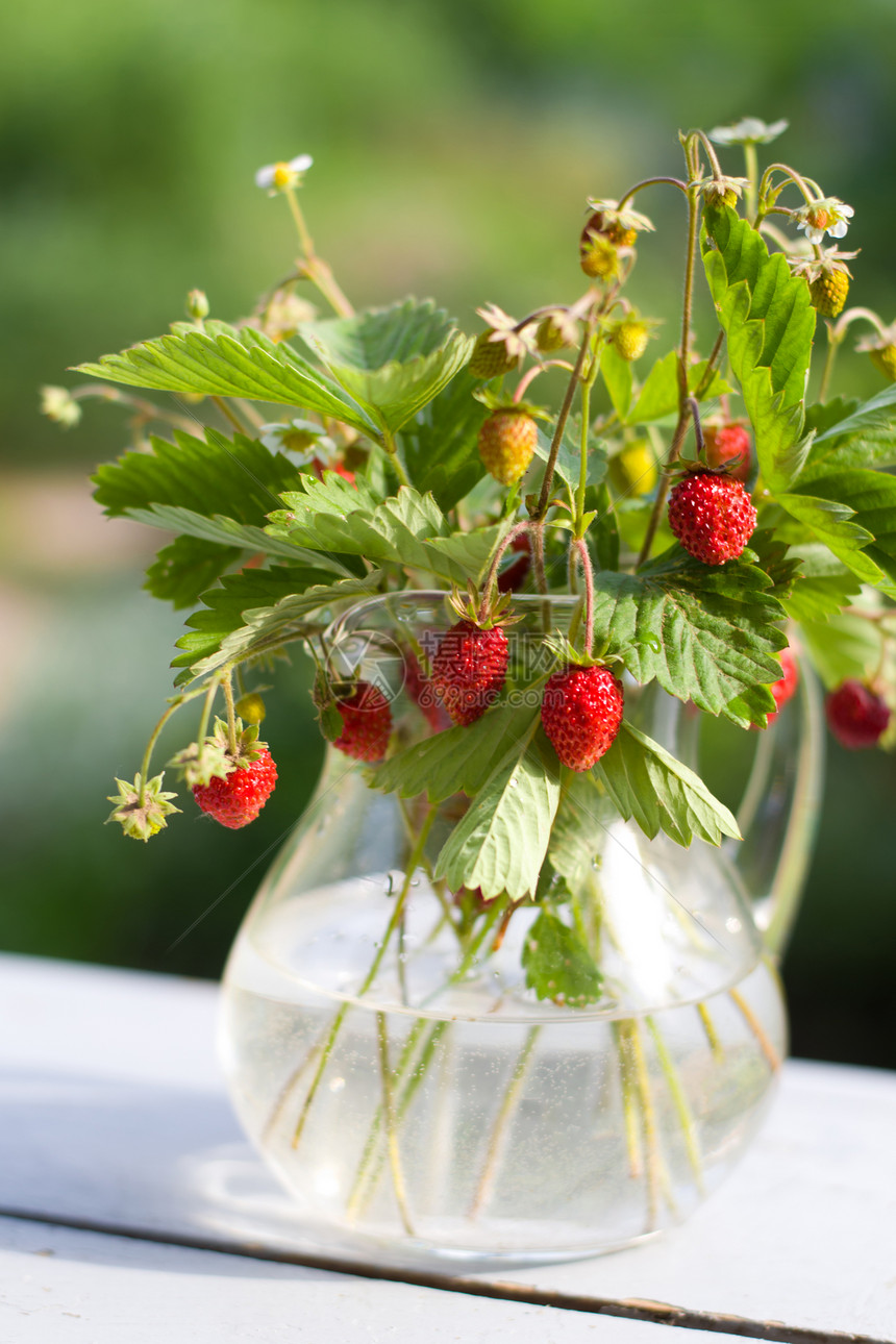 玻璃壶中的野草莓花束图片