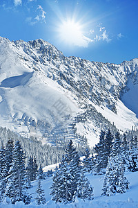 冬季高山景观雪下的科罗拉多落基山脉美国科罗拉多州阿拉帕霍盆地美丽的阳图片