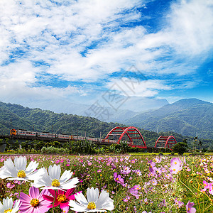 装有火车和架桥的漂亮的花朵供adv或图片