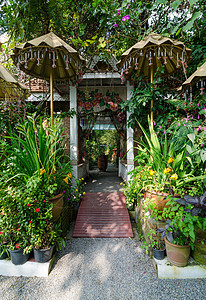 美丽的花园入口植物园图片