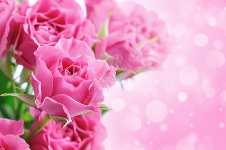 精致的玫瑰花束花卉背景图片