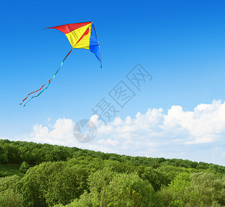 风筝在森林上空飞翔图片