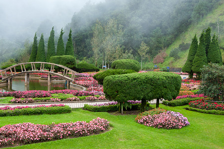 花卉园和雾背景图片