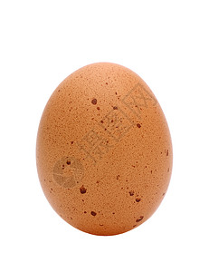 白色背景上的棕色鸡蛋图片