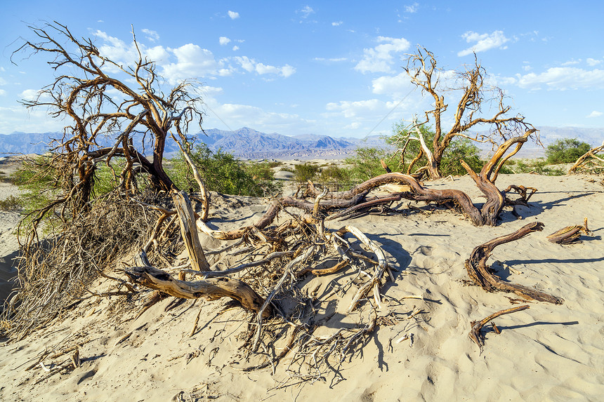 谷地的沙漠景观图片