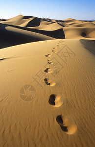 摩洛哥ErgChebbi的沙丘图片