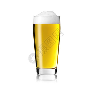 啤酒玻璃杯蘑菇Villis图片