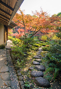 日本传统花园的石路图片