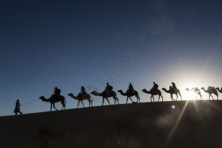 穿过沙漠的骆驼商队图片