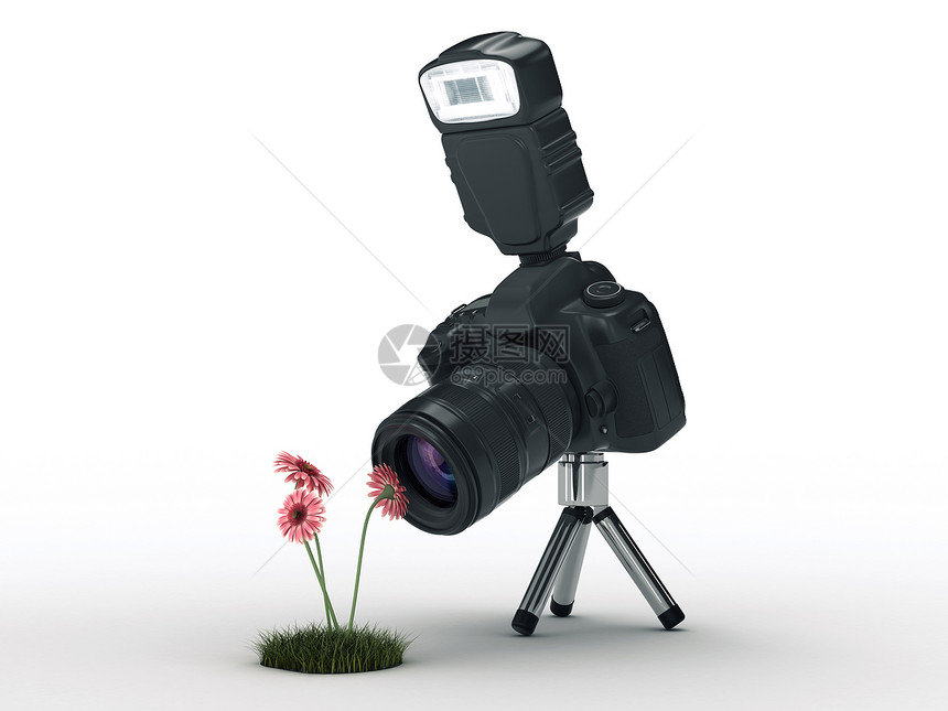 摄影相机和鲜花3图片