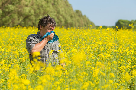 田野里的人擤鼻涕患花粉症图片