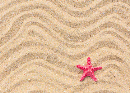 海星和在沙滩上波浪沙滩图片