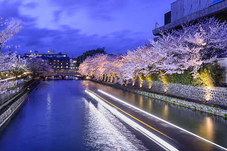 京都日本在春樱花盛季图片