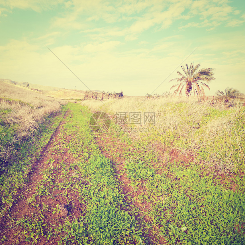 以色列冬季山上的枯草Insta图片