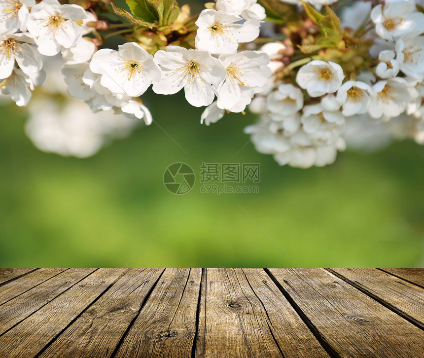 背景中有春花的空木甲板桌图片