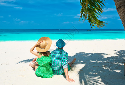 马尔代夫热带海滩上绿图片