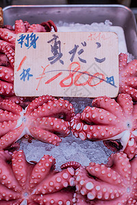 Tsukiji市场中的日本海产背景图片