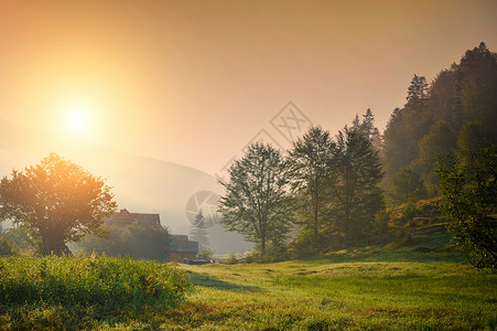 雾中山村的夏日风景图片