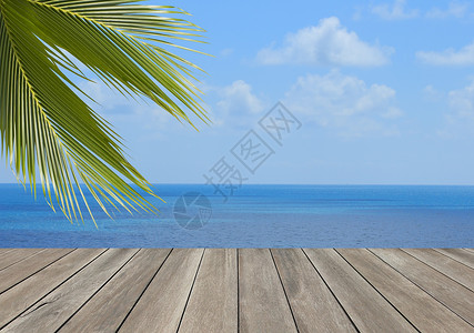 在海滩的木板条与椰子棕榈树叶子图片