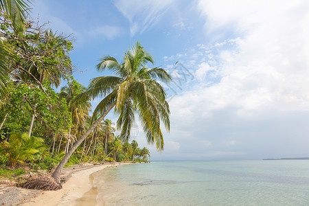 巴拿马BocasdelToro群岛图片