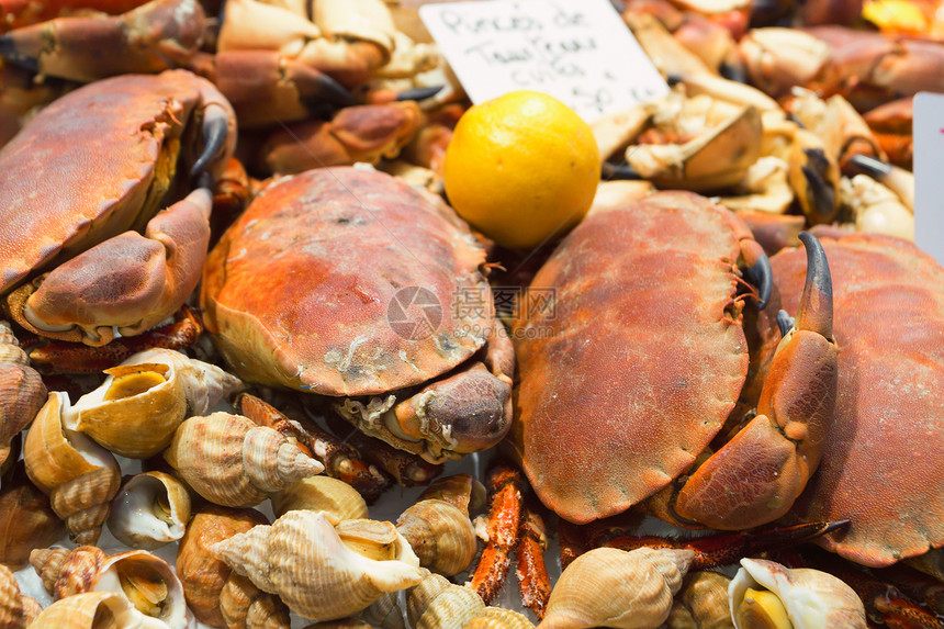 各种美味的海产品包括螃蟹图片