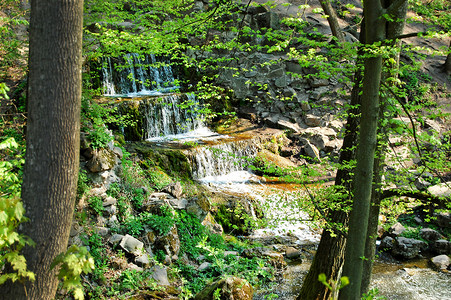 岩石周围有瀑布四周长着绿叶图片