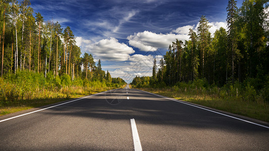 晚上夏天森林道路和天空图片