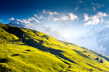 Tetnuldi冰川脚下的高山草甸的美丽景色上斯瓦涅季图片