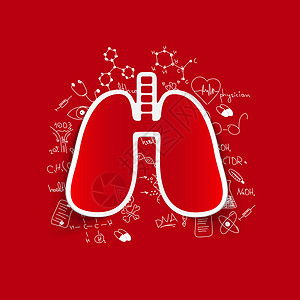 绘制医学公式肺图片