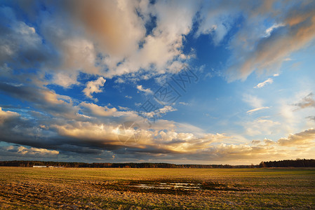 夕阳下田野上的大雨云背景图片