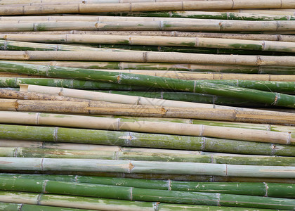 工业建设用绿竹图片
