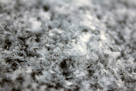 刚落下的雪紧贴雪花图片