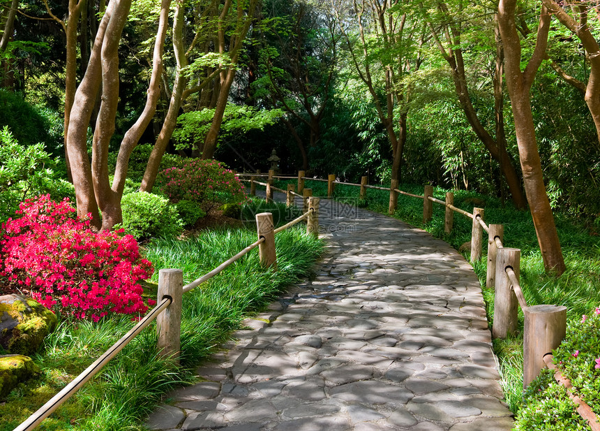 日本茶园的石路旧金图片