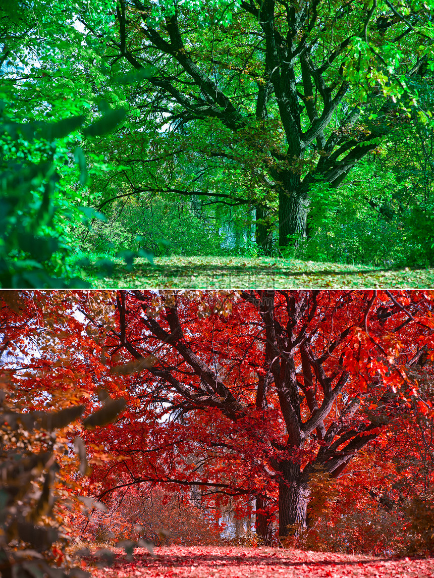 秋季和夏季图片