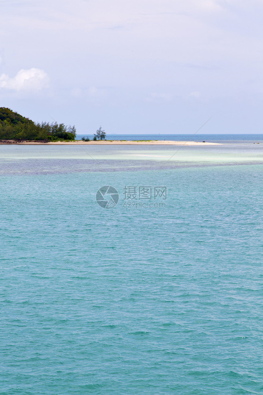 绿色环礁湖和树木的海岸线北中华南图片