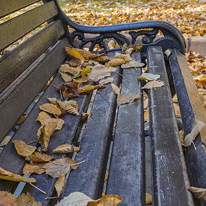 秋季公园落叶的长凳图片