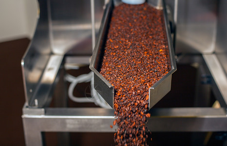 咖啡行业咖啡生产的特写图片