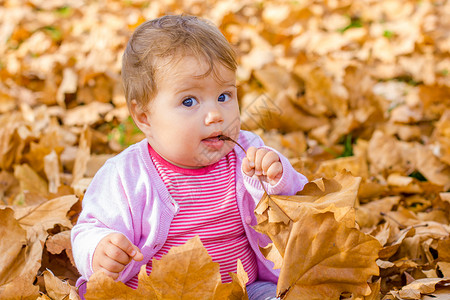可爱的宝在公园里玩秋叶图片
