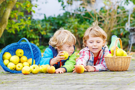 两个可爱的小孩子在户外的花园里吃苹果图片
