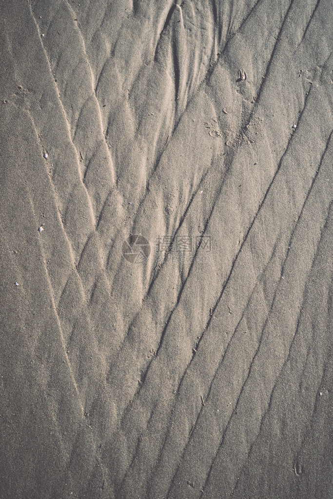 未经精炼潮湿和细质天然金沙的背景纹理古