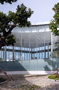 现代建筑中庭院的曲线玻璃墙图片