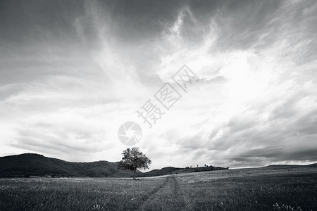 黑色和白色地貌与乡村草原的图片