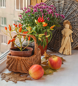 窗上装饰辣椒和的秋季布置图片