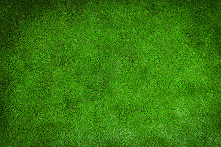 背景的绿色草坪图片